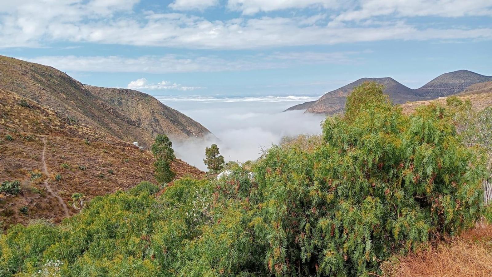 Catorce Ventana Al Desierto旅馆 外观 照片